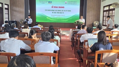 וין לונג משדרג את צוות קידום ההשקעות בשלב פיתוח חדש