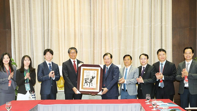 Бакнинь приветствует волну высокотехнологичного сотрудничества из Японии