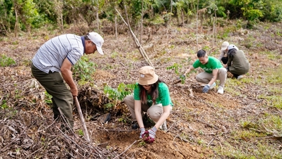 جب ٹیکنالوجی کے پلیٹ فارم ماحول کے لیے ہاتھ ملاتے ہیں۔