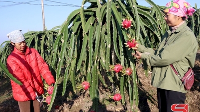 জাতিগত ও ধর্মীয় কাজে উদ্ভাবন