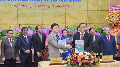 គណៈកម្មាធិការប្រជាជនទីក្រុង Can Tho បានចុះហត្ថលេខាលើកិច្ចព្រមព្រៀងសហប្រតិបត្តិការជាមួយសាកលវិទ្យាល័យចំនួន ៦ នៅទីក្រុងហូជីមិញ និងទីក្រុង Can Tho