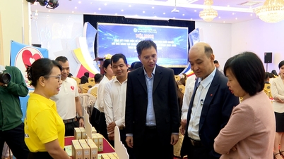 إحداث نقلة نوعية في تطوير نظام بيئي مبتكر للشركات الناشئة في دا نانغ