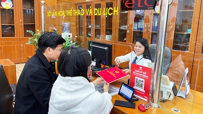 इलेक्ट्रॉनिक वातावरण में लोगों और व्यवसायों की सेवा करने के सूचकांक में बेक निन्ह लगातार 10 सप्ताह तक देश में अग्रणी रहा।