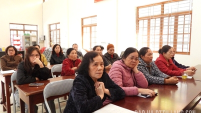 Implementação da limpeza do terreno para o projeto de construção da Escola Primária Chi Lang 2 no bloco Dai Thang, distrito de Luong Van Tri.