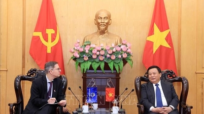 تبادل دانش و تجربه در حل چالش‌های بزرگ