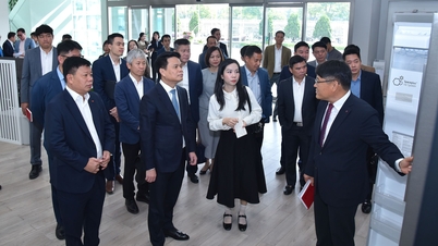 سٹی پیپلز کمیٹی کے چیئرمین Le Ngoc Chau نے Hai Phong میں LG گروپ کے کاروباری اداروں کے ساتھ کام کیا۔