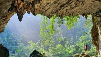 8 حدائق وطنية في فيتنام: اقتراحات لعشاق الطبيعة