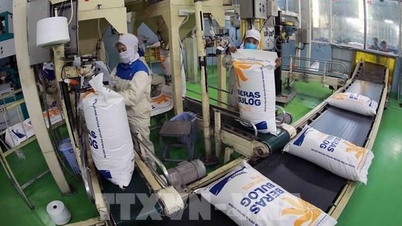 ویتنامی زرعی مصنوعات کے لیے ایک تاریخی پیش رفت کے سال کی توقع