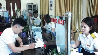 税務局は、暴風雨や洪水の影響を受けた納税者にとって最も有利な条件を作り出すよう要請します。