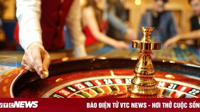 Tillåt vietnameser att spela på kasinon i Phu Quoc, Ho Tram och Van Don