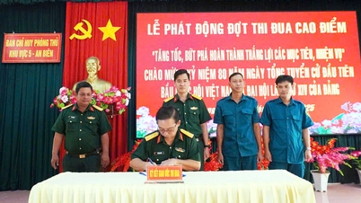 অঞ্চল ৫-এর প্রতিরক্ষা কমান্ড - আন বিয়েন একটি পিক ইমুলেশন প্রচারণা শুরু করেছে