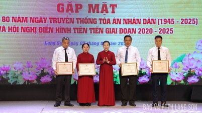 অনুকরণ আন্দোলনের সাফল্য