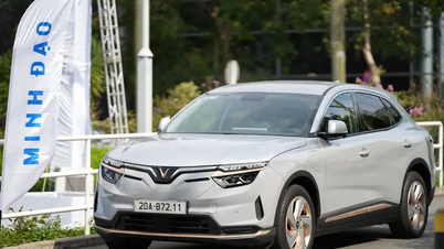 10억 VND 가격의 SUV, 뛰어난 장점으로 VinFast VF 8로 명명