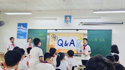 تنظیم چارچوب شایستگی زبان خارجی، گسترش از پیش‌دبستانی به دبستان