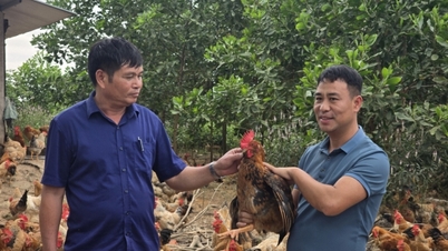 農業経済発展を結びつけることによる効率性