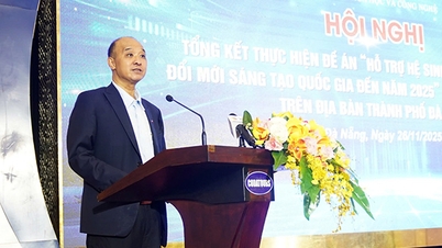 다낭은 국제적인 혁신적 스타트업 도시가 되겠다는 야망을 가지고 있습니다.