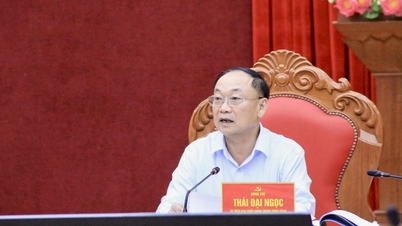 Gia Lai Provincial Election Committee held its first meeting.