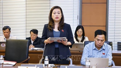 Przeznaczyć co najmniej 20% budżetu państwa na edukację – musi zawierać „punkty skupienia i kluczowe punkty”