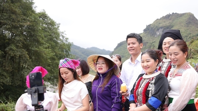 המסע מהחווה לפלטפורמת המסחר האלקטרוני