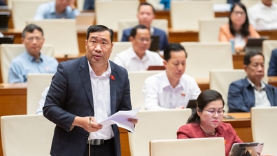 Ada kebijakan untuk membantu staf akar rumput merasa aman dalam pekerjaan mereka.