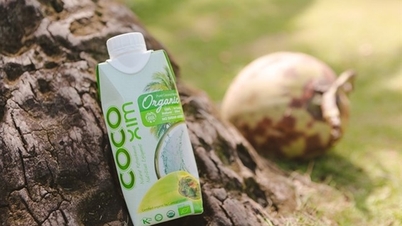 به دنبال تولیدکنندگان شیر نارگیل برای صادرات به بازار بلژیک هستیم