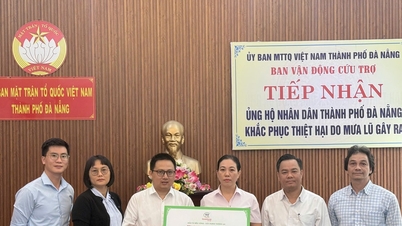 Trung Nam Group berbagi kesulitan dengan warga di provinsi Central Highlands setelah banjir