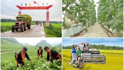 2021～2025年国家目標プログラム中央運営委員会の委員構成の完了