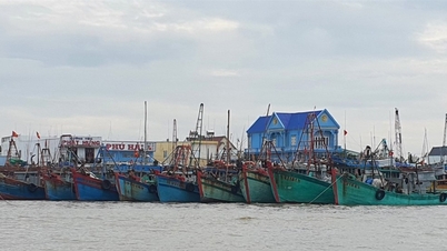 El Departamento de Agricultura y Medio Ambiente informa sobre los resultados de la política exterior en 2025 y las orientaciones y tareas de la política exterior en 2026.