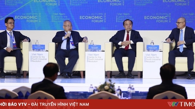 ការដោះស្រាយបញ្ហាហិរញ្ញវត្ថុសម្រាប់ការផ្លាស់ប្តូរបៃតង