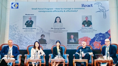 គយវៀតណាមចូលរួមសន្និសីទកម្មសិទ្ធិបញ្ញានៅប្រទេសម៉ាឡេស៊ី