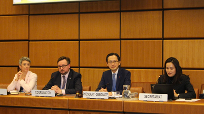 Vietnam konzultuje 11. hodnotící konferenci Smlouvy o nešíření jaderných zbraní