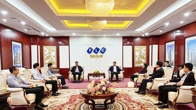 Vicepreședintele permanent al Comitetului Popular al orașului, Nguyen Thanh Binh, lucrează cu Bamboo Airways