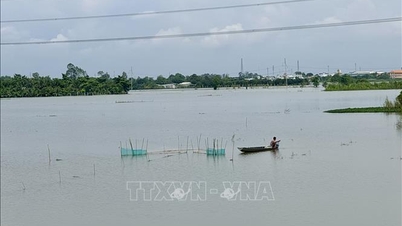 هشدار: بسیاری از مناطق به دلیل جزر و مد شدید در معرض خطر سیل به عمق ۵ تا ۲۰ سانتی‌متر هستند.