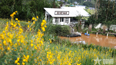 ທ້າຍລະດູໃບໄມ້ປົ່ງຢູ່ເທິງພູພຽງ Lam Dong