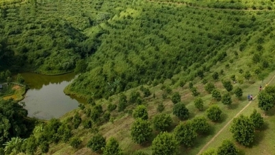 ディエンビエン：持続可能な開発と貧困削減を促進するために科学、技術、イノベーションを活用する