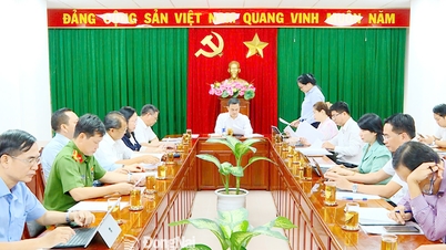 Tăng cường kiểm tra, giám sát an toàn thực phẩm dịp lễ, tết