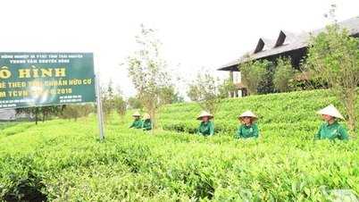 থাই নগুয়েনের নতুন উন্নয়ন যাত্রায় নেতৃত্ব দিচ্ছে বিজ্ঞান ও প্রযুক্তি