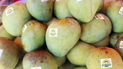 বিজ্ঞান, প্রযুক্তি এবং উদ্ভাবনের মাধ্যমে সন লা এক যুগান্তকারী সাফল্য অর্জন করেছে