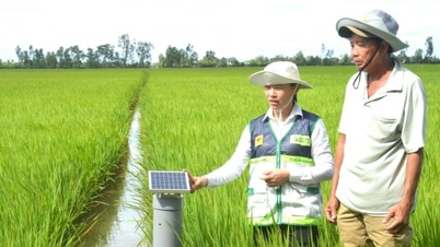 ការ​អនុវត្ត​ឧបករណ៍​ចាប់​សញ្ញា​ប្រព័ន្ធ​ធារាសាស្ត្រ​ទឹកជំនន់​លើ​វាលស្រែ​ធំៗ​ក្នុង​ខេត្ត An Giang