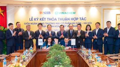 SHB e Vinachem assinam acordo de cooperação: Avanço na conexão de recursos e otimização das vantagens do setor