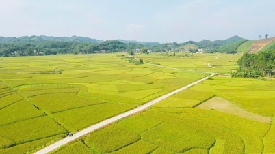 Hop Thanh: Země pamětí vyrůstající z identity Tay