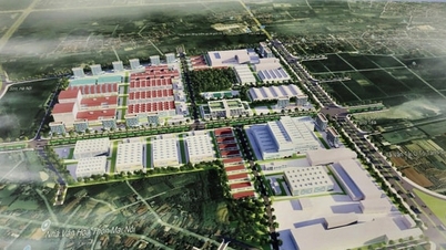 ປັບ​ປຸງ​ແຜນ​ຮ່າງ 1/500 ຂອງ​ສວນ​ອຸດ​ສາ​ຫະ​ກຳ​ມາຍ​ດິ່ງ - ​ຊົກ​ເຊີນ