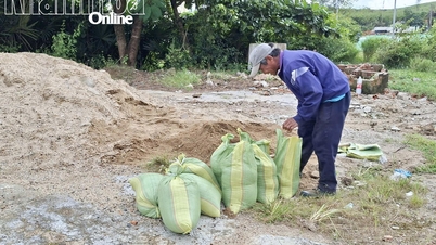La commune de Khanh Vinh réagit de manière proactive à la tempête n° 15