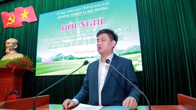 A mezőgazdasági, erdészeti és halászati ​​termelés előzetes felülvizsgálata 2025-ben; a 2025-2026-os téli-tavaszi növénytermesztési terv végrehajtása