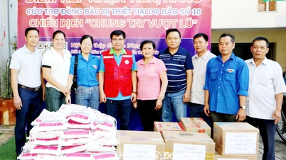 A Sociedade da Cruz Vermelha da Província de Dong Nai recebeu quase 100 toneladas de mercadorias para apoiar as pessoas nas áreas afetadas pelas inundações.