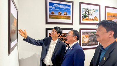 Triển lãm ảnh nghệ thuật “Việt Nam - Indonesia: Qua lăng kính tình bạn”