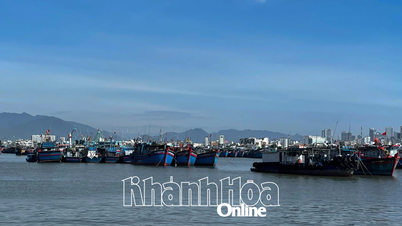 تا ساعت ۴ بعد از ظهر روز ۲۶ نوامبر، ۳۱۳۹ کشتی و قایق در بنادر ماهیگیری و مناطق لنگرگاه این استان لنگر انداخته بودند.