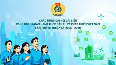 En route avec confiance vers le 7e Congrès syndical de la BIDV