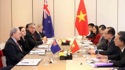 3e réunion des ministres des Affaires étrangères Vietnam-Nouvelle-Zélande