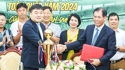 Cúp các CLB bóng chày toàn quốc 2024 tăng số lượng đội, hứa hẹn hấp dẫn